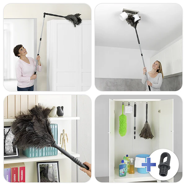 Miniature 6